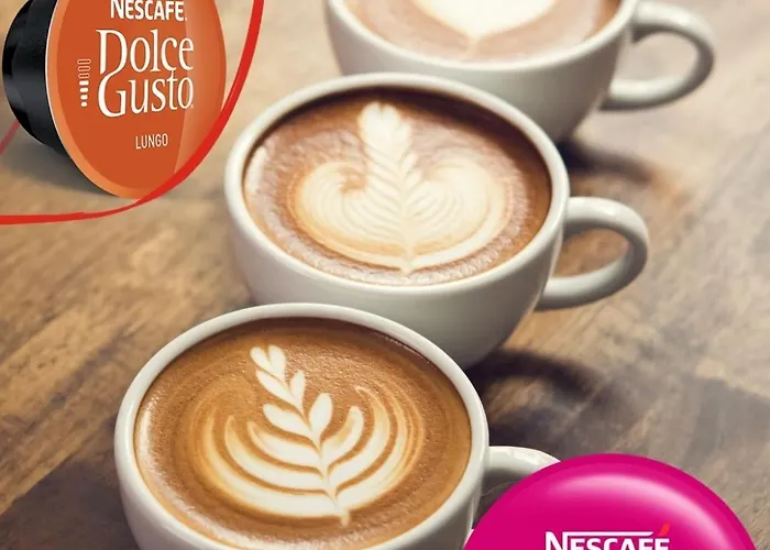 Le Nid Des Benedictins Nîmes